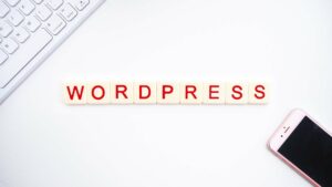 Wordpress website development