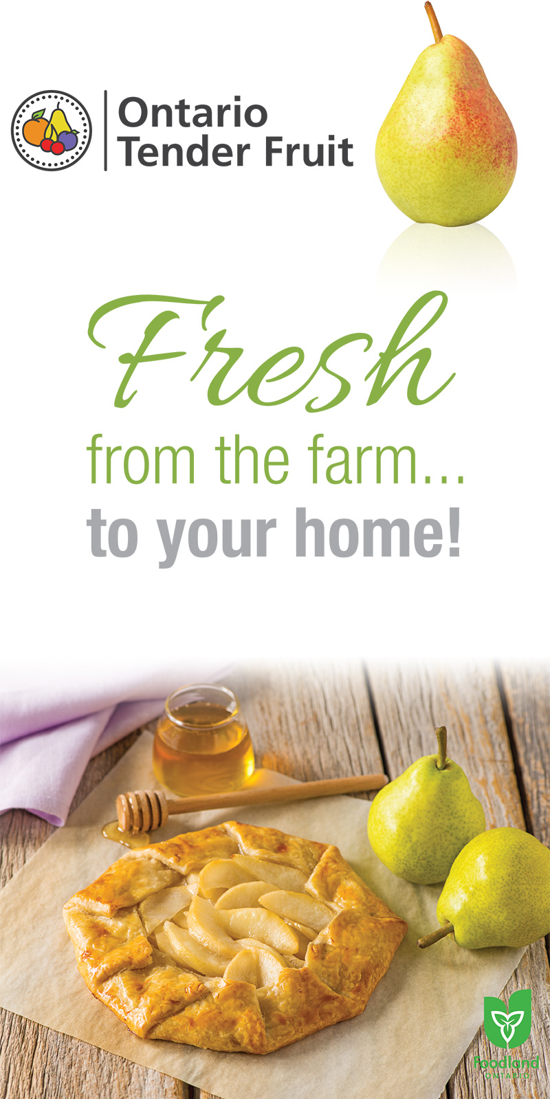 Print Marketing Ontario Tender Fruit Pop Up Banners